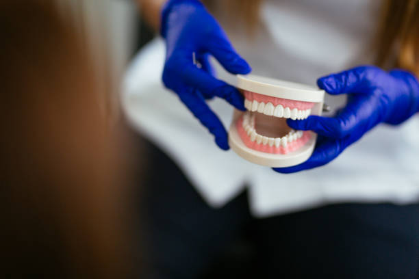 Best Dental X-Rays and Imaging  in Heeia, HI